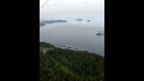 zipline Icy Straight Point short #travel #cruiselife #alaska #zipline