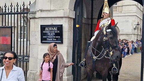 Tourist take no notice when told move behind the bollards #horseguardsparade