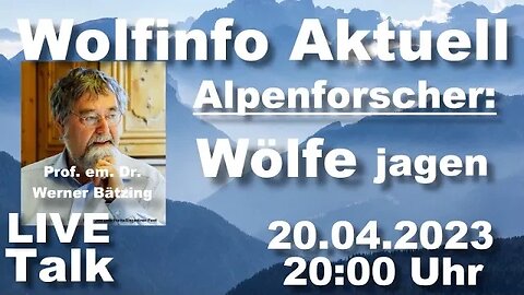 Wolfinfo Aktuell LIVE TALK 25 (Alpenforscher: Wolfabschuß in der Nähe von Almen )