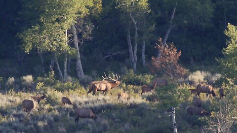 Wyoming 2014