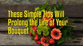 These Simple Tips Will Prolong the Life of Your Bouquet