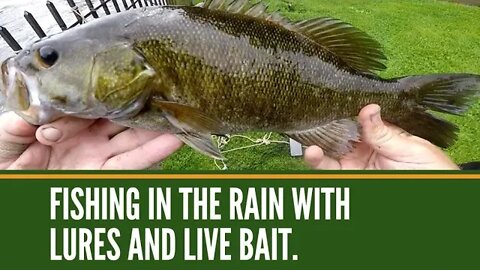 Fishing In The Rain / Mixed Bag Fishing With Lures And Live Bait / Mid Michigan Fishing