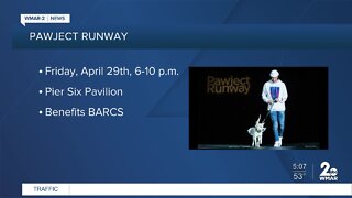 Pawject Runway on Friday April 29 at Pier Six Pavilion