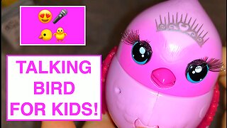 Pretend Play Talking Bird - Toy Review for Kids - New Talking Bird Review - Toy Opening for Babies