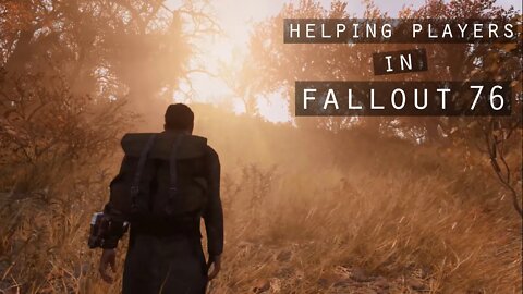 Helping Players in Fallout 76