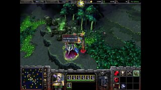 Warcraft 3 Classic: Night Elf Guardian