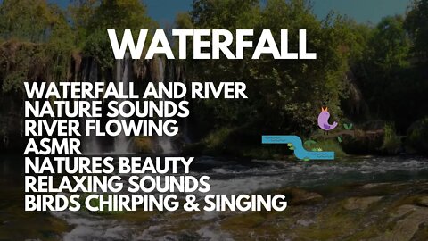 WATERFALL SOUNDS ALONG THE RIVER BIRDS CHIRPING AND SINGING ASMR NATURES BEAUTY SLEEP IN MINUTES