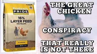 The Real Chicken Feed Conspiracy!