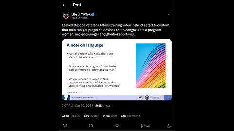 Leaked Dept of Veterans Affairs video instructs staff to confirm that men can get pregnant...