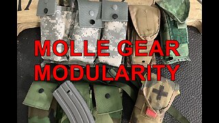 MOLLE AMMO POUCH AND BANDOLIER