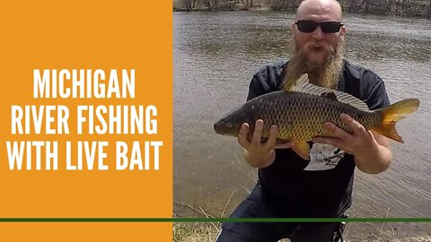 Michigan River Fishing With Live Bait For Carp And Bass Fishing With Shiners And Worms