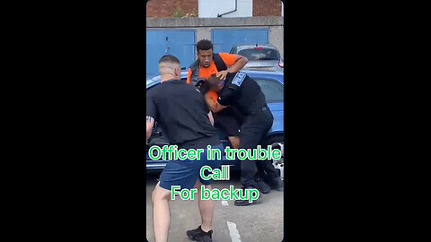 Police officer gets into a fight