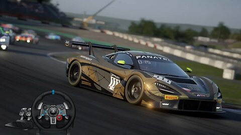 BEST SETTINGS FOR LOGITECH G29/G920 ON ASSETTO CORSA COMPETIZIONE