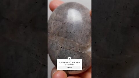 Can You Identify This Mystery Palm Stone?