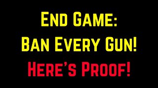 END GAME: Ban All Guns! Here's Proof