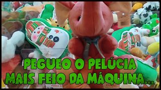 PEGUEI O URSINHO MAIS FEIO DA MÁQUINA DE PELÚCIAS......