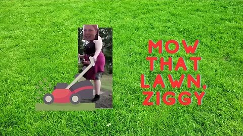 Ziggy wants you to mow her lawn. 💯😂🚨LIVE ❤️🚨🐽