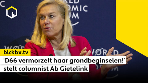 ‘D66 vermorzelt haar grondbeginselen!’ stelt columnist Ab Gietelink