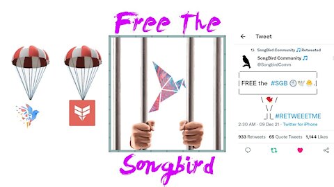 Free The Songbird ($SGB) Exchange Issues CanaryX Snapshop Dec. 12th Airdrop Dec. 15th Flare Hiring