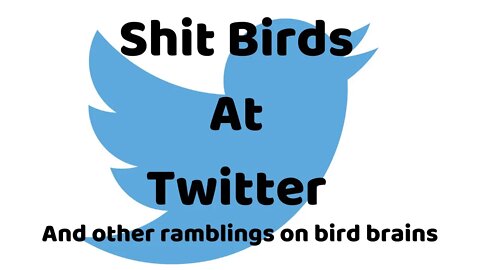 06 16 21: Shit birds at Twitter and other ramblings on bird brains.