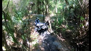 Wild Bear Safari 2022 Day 2 on the KTM 300