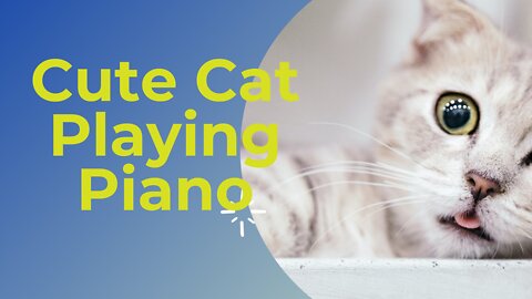 Cute Cat Playing Piano||White Cat