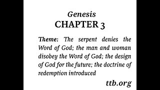 Genesis Chapter 3 (Bible Study)