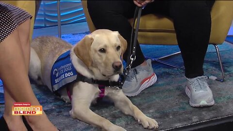 Southeastern Guide Dogs | Morning Blend