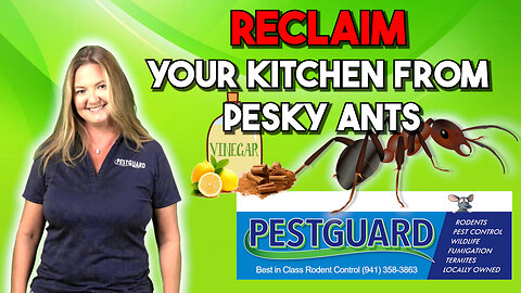 🍽️🚫 PestGuard's Kitchen Ant Showdown: Keeping Florida Kitchens Ant-Free! 🌴🐜