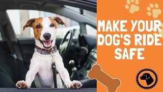 Making Your Dogs Car Ride Safe & Comfortable | DOG BLOG 🐶 Brooklyn's Corner