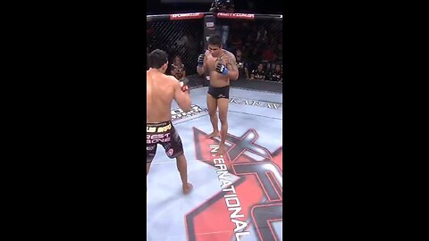 Front kick knockout, brutal.