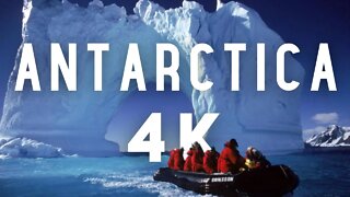 Antarctica 4k Video Ultra HD | Antarctica 4k Video | Antarctica 4k Drone | Neko Harbor