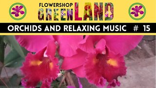 FIRE DANCER MUSIC | 100 ORCHIDS TO THE SOUND OF RELAXING MUSIC | # 15