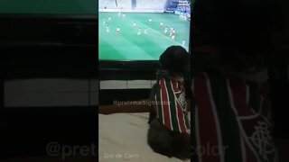 Cadela Pretinha Tricolor comemorando gol do Fluminense (Cano) - Fluminense 3x2 Vila Nova