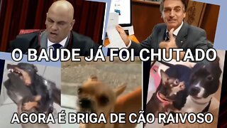 BOLSONARO JÁ CHUTOU O BALDE, AGORA É BRIGA DE CÃO RAIVOSO É É É , O BOLSONARO VOLTOOOU !