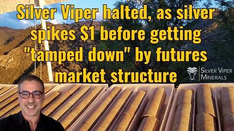 Silver Viper halted, as silver spikes $1 before getting "tamped down" by futures market structure