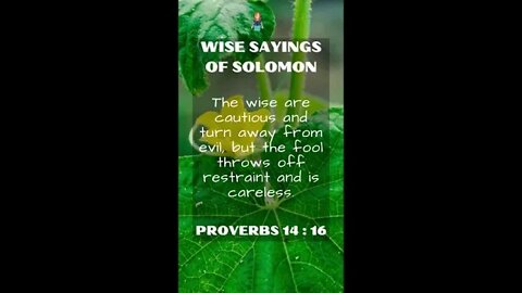 Proverbs 14:16 | NRSV Bible | Wise Sayings of Solomon