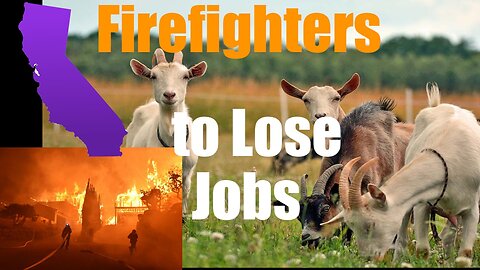 Firefighting Goats to Lose Jobs as California Labor Laws Crush Them