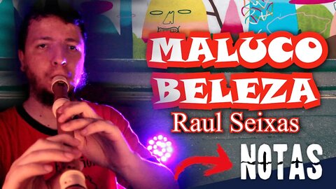 Como tocar MALUCO BELEZA de RAUL SEIXAS na FLAUTA DOCE CONTRALTO