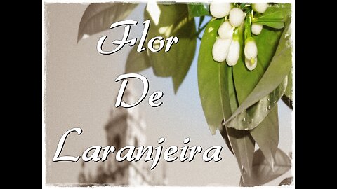 FLOR DE LARANJEIRA [ROBERTO GOYENECHE]