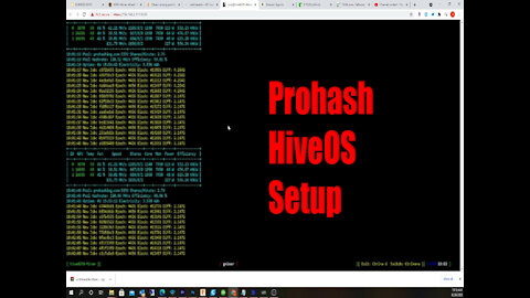 Prohashing HiveOS Setup Tutorial For Mining Proof Of Stake Altcoins