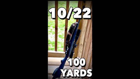 Ruger 1022 shooting at 100 Yards with a BSA Sweet 22 Scope #shorts