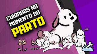 Pode puxar o filhote de cachorro na hora do parto? | Semana Especial Dia das Mães | Dr Edgard Gomes