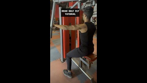 Rear delt dly tutorial