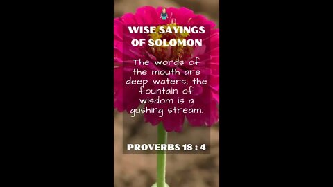 Proverbs 18:4 | NRSV Bible - Wise Sayings of Solomon