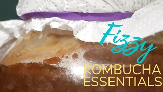 Homestead Kombucha Routine - Tips for How to Make Fizzy Kombucha Tea & Healthy 2nd Fermentation