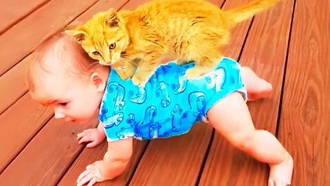Cutest Babies and Cats Are Best Friend - Cute Baby Videos