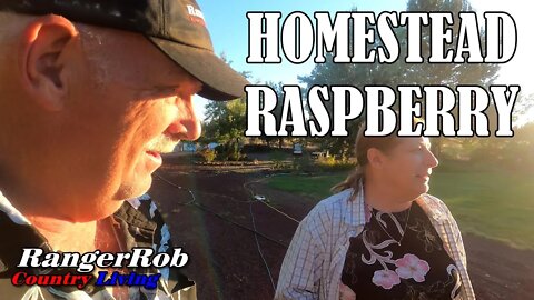 Raspberry On the Homestead, Pea Shelling & Pigs