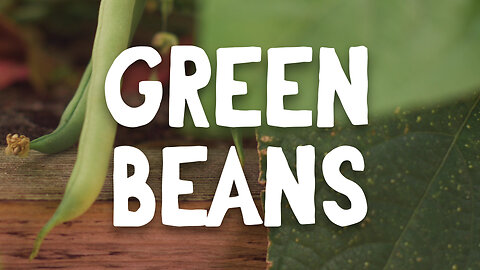 How To Grow ~ Green Beans