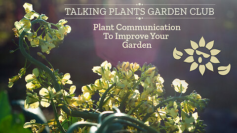 Improve your garden hundredfold by asking the plants what they need